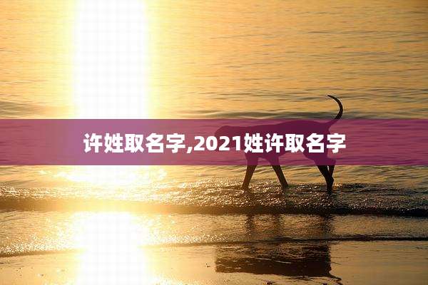 许姓取名字,2021姓许取名字