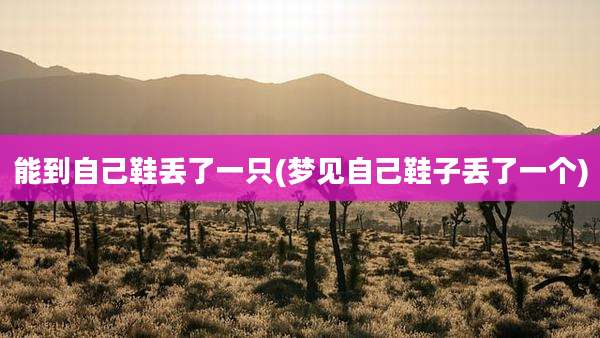 能到自己鞋丢了一只(梦见自己鞋子丢了一个)
