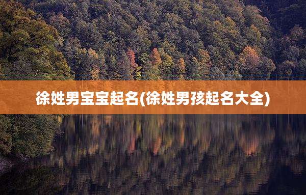 徐姓男宝宝起名(徐姓男孩起名大全)