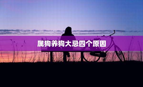 属狗养狗大忌四个原因
