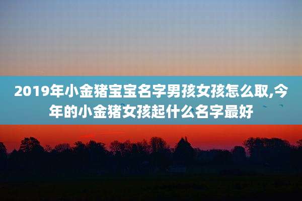 2019年小金猪宝宝名字男孩女孩怎么取,今年的小金猪女孩起什么名字最好