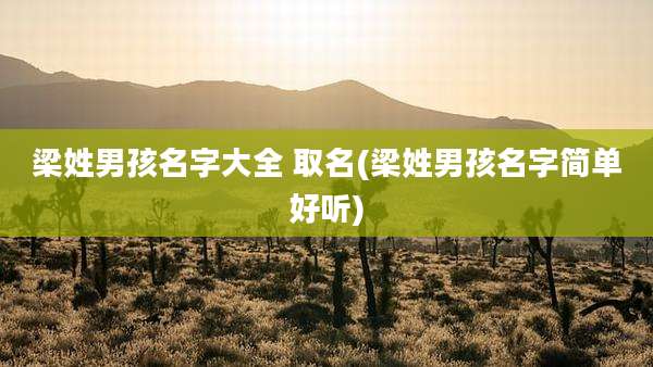 梁姓男孩名字大全 取名(梁姓男孩名字简单好听)