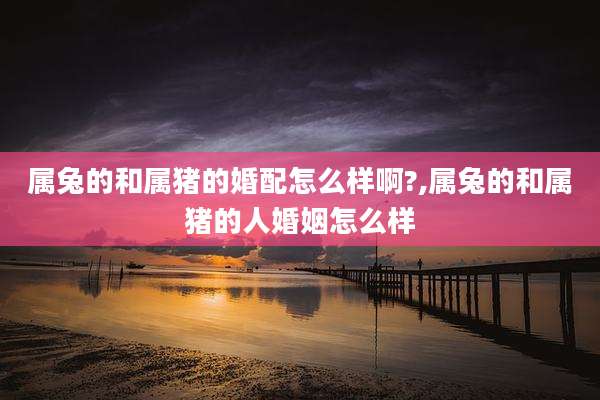属兔的和属猪的婚配怎么样啊?,属兔的和属猪的人婚姻怎么样