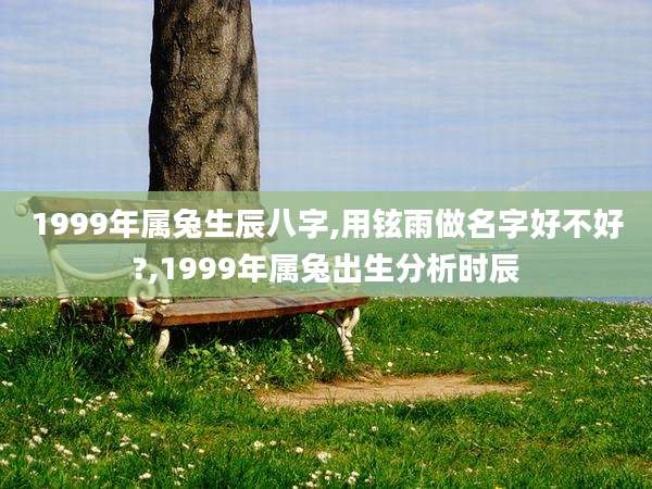 1999年属兔生辰八字,用铉雨做名字好不好?,1999年属兔出生分析时辰