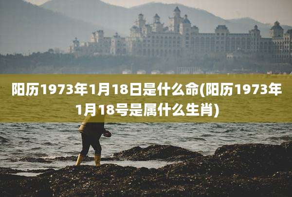 阳历1973年1月18日是什么命(阳历1973年1月18号是属什么生肖)