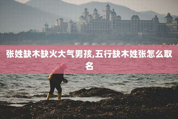 张姓缺木缺火大气男孩,五行缺木姓张怎么取名