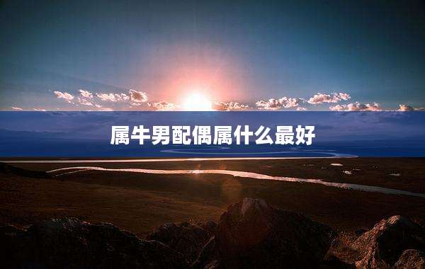 属牛男配偶属什么最好