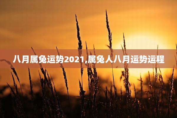 八月属兔运势2021,属兔人八月运势运程