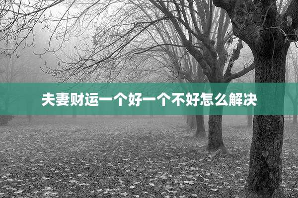 夫妻财运一个好一个不好怎么解决