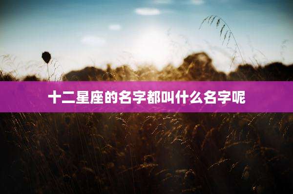 十二星座的名字都叫什么名字呢