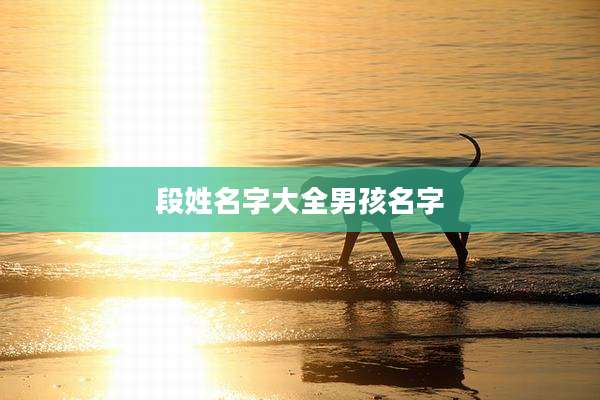 段姓名字大全男孩名字