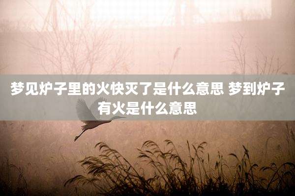梦见炉子里的火快灭了是什么意思 梦到炉子有火是什么意思