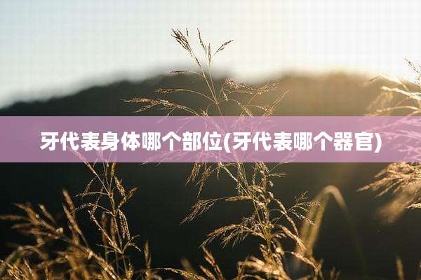牙代表身体哪个部位(牙代表哪个器官)