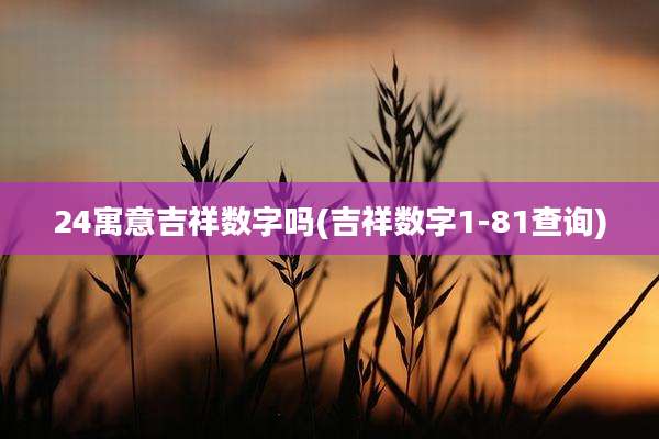 24寓意吉祥数字吗(吉祥数字1-81查询)