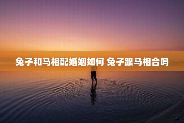 兔子和马相配婚姻如何 兔子跟马相合吗