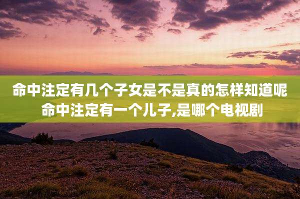 命中注定有几个子女是不是真的怎样知道呢 命中注定有一个儿子,是哪个电视剧