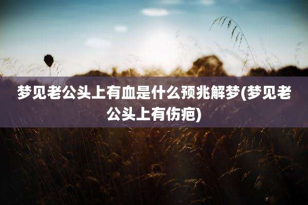梦见老***上有血是什么预兆解梦(梦见老***上有伤疤)