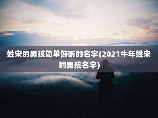 姓宋的男孩简单好听的名字(2021牛年姓宋的男孩名字)