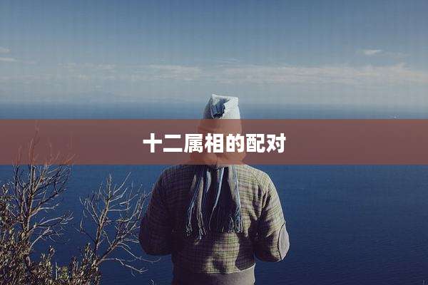 十二属相的配对