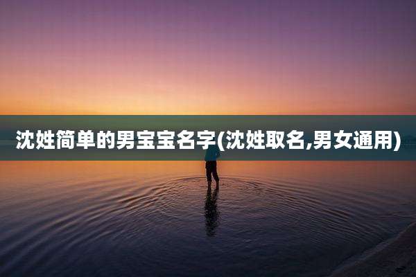 沈姓简单的男宝宝名字(沈姓取名,男女通用)