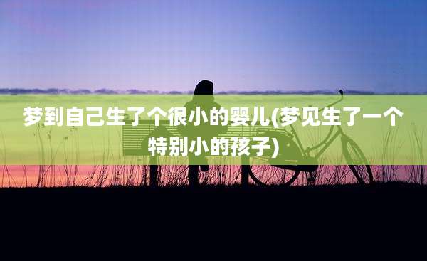 梦到自己生了个很小的婴儿(梦见生了一个特别小的孩子)
