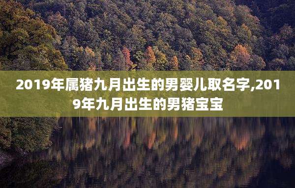 2019年属猪九月出生的男婴儿取名字,2019年九月出生的男猪宝宝