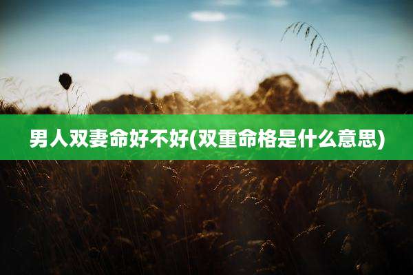 男人双妻命好不好(双重命格是什么意思)