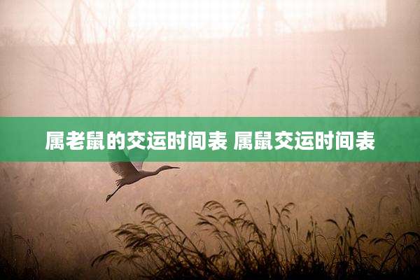 属老鼠的交运时间表 属鼠交运时间表