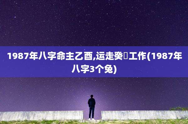 1987年八字命主乙酉,运走癸邜工作(1987年八字3个兔)