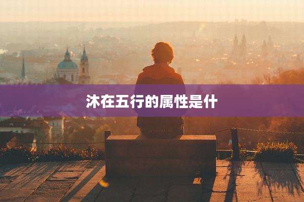 沐在五行的属性是什