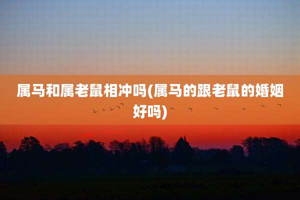 属马和属老鼠相冲吗(属马的跟老鼠的婚姻好吗)