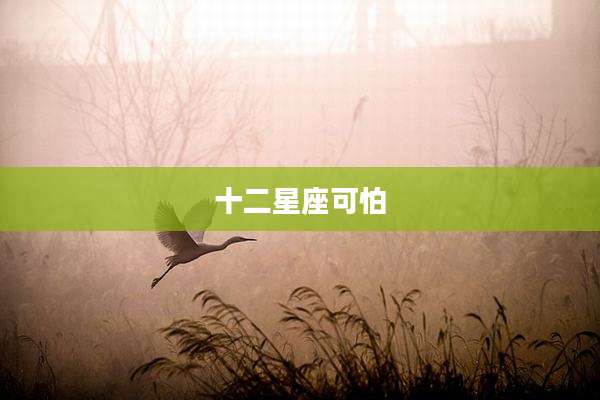 十二星座可怕