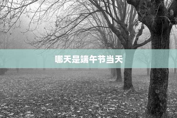 哪天是端午节当天