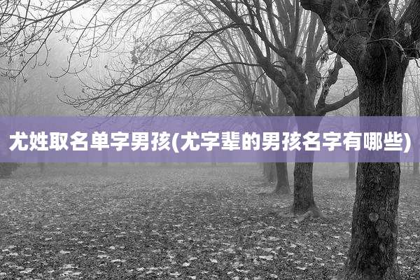 尤姓取名单字男孩(尤字辈的男孩名字有哪些)