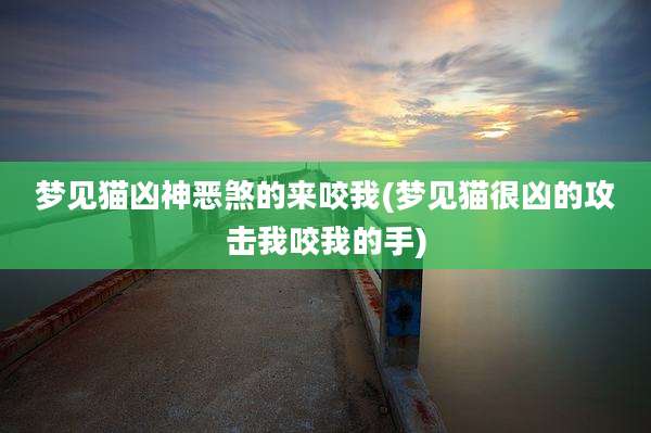 梦见猫凶神恶煞的来咬我(梦见猫很凶的攻击我咬我的手)