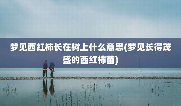 梦见西红柿长在树上什么意思(梦见长得茂盛的西红柿苗)