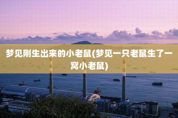 梦见刚生出来的小老鼠(梦见一只老鼠生了一窝小老鼠)