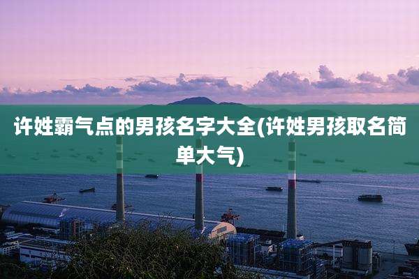 许姓霸气点的男孩名字大全(许姓男孩取名简单大气)