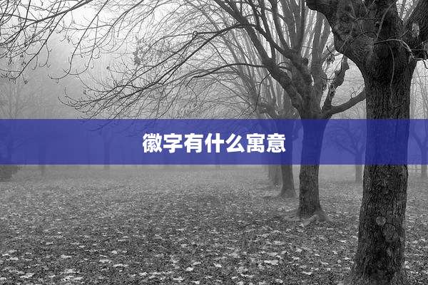 徽字有什么寓意