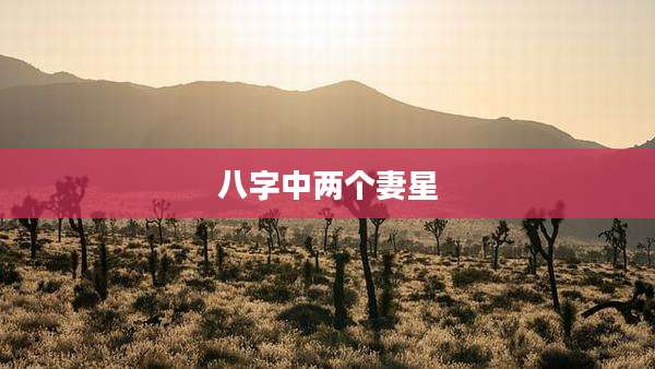 八字中两个妻星