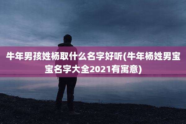 牛年男孩姓杨取什么名字好听(牛年杨姓男宝宝名字大全2021有寓意)