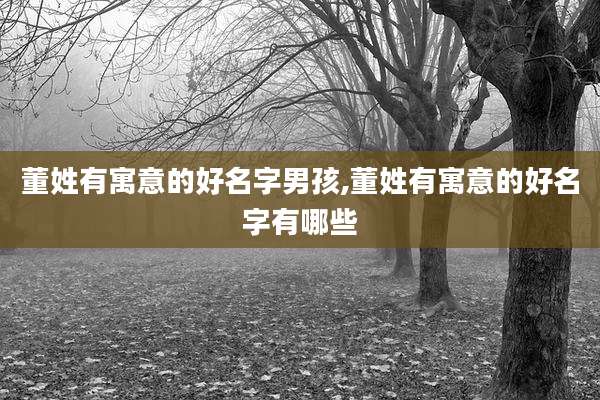 董姓有寓意的好名字男孩,董姓有寓意的好名字有哪些