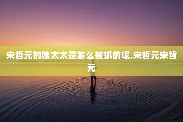 宋哲元的姨太太是怎么被抓的呢,宋哲元宋哲元