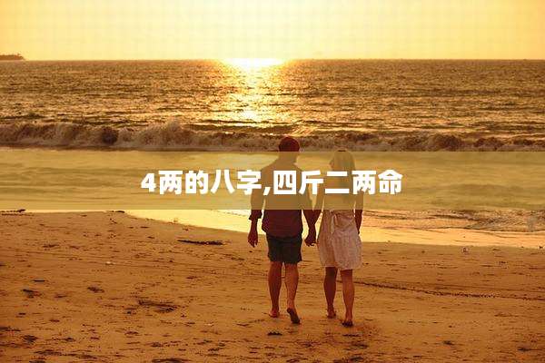 4两的八字,四斤二两命