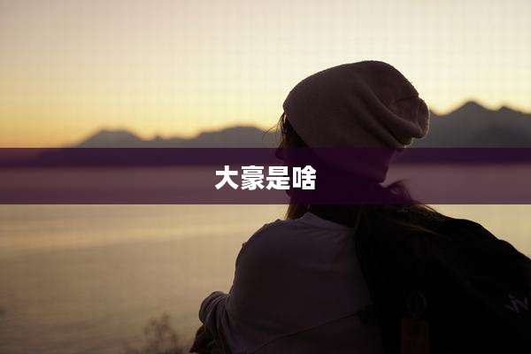 大豪是啥