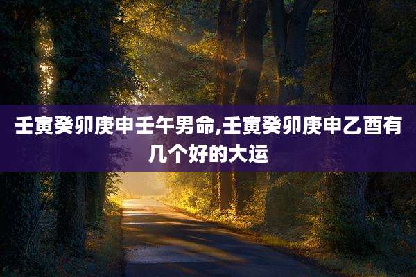 壬寅癸卯庚申壬午男命,壬寅癸卯庚申乙酉有几个好的大运