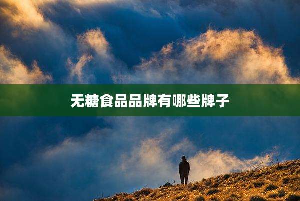 无糖食品品牌有哪些牌子