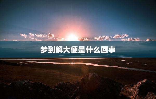 梦到解大便是什么回事