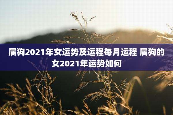 属狗2021年女运势及运程每月运程 属狗的女2021年运势如何