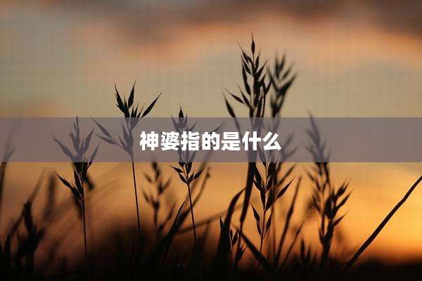 神婆指的是什么